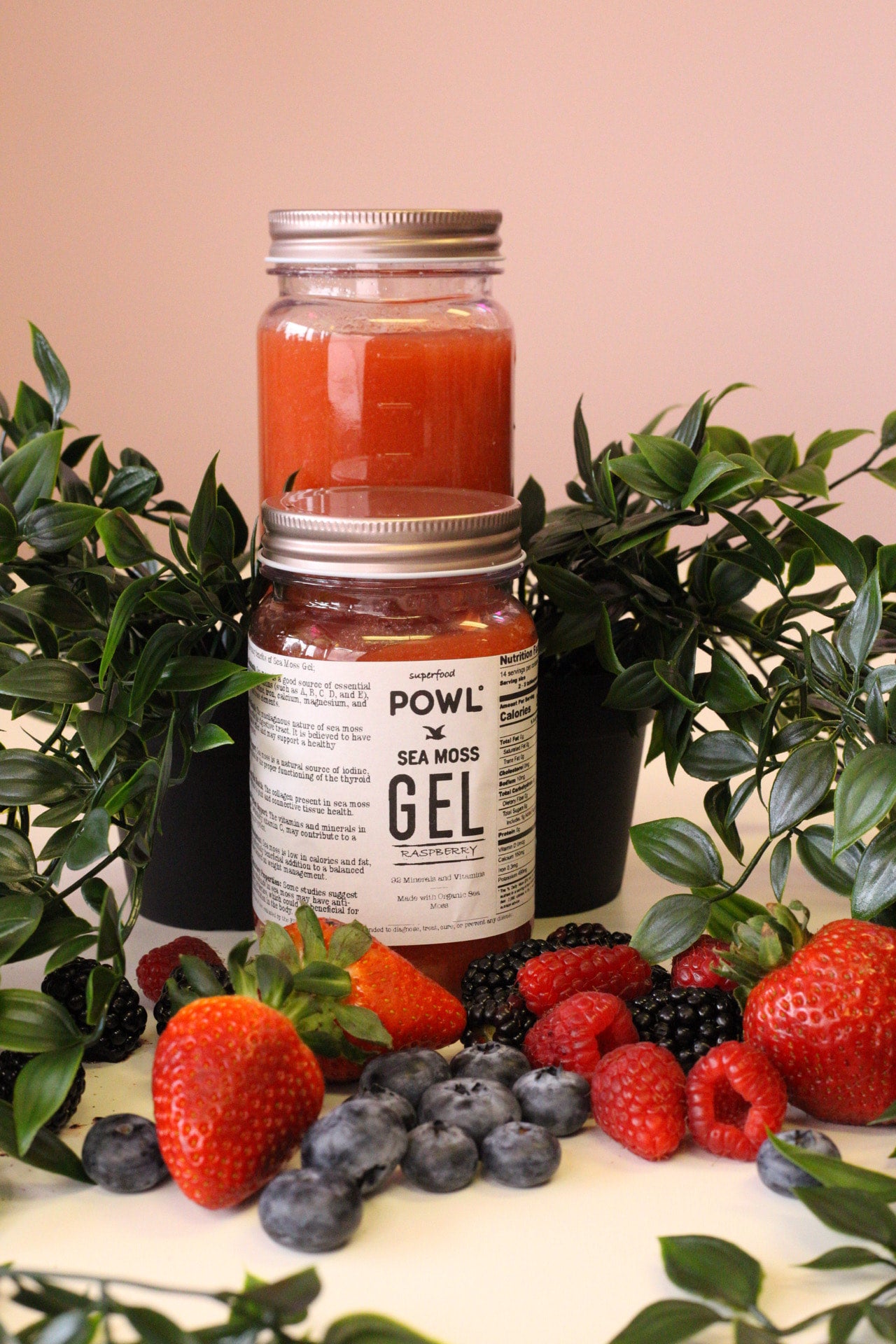 Organic Sea Moss Gel - Raspberry 16oz | Powl Acai ~ Pitaya ~ Smoothies ...